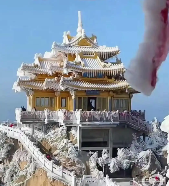 河南多地迎来了今秋的第一场雪