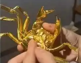 详细阅读:山姆“黄金大闸蟹”系水贝供货 山姆“黄金大闸蟹”系水贝供货