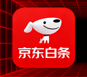 京东白条申请额度时，哪些信息填写错误会导致申请失败