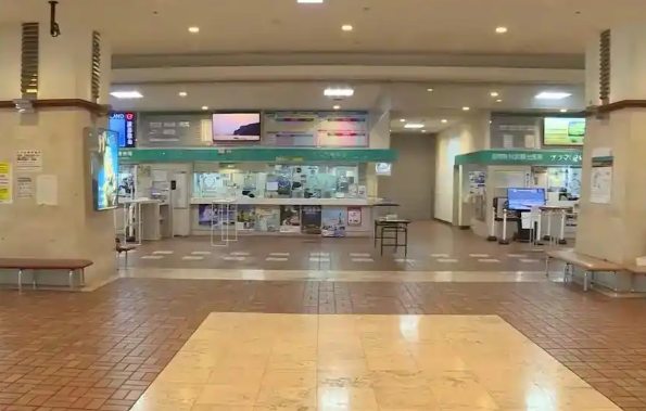 日本记者街头采访找不到中国游客，旅游行业遭重创