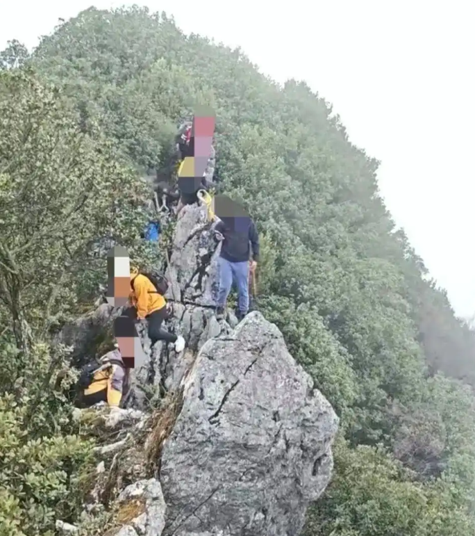 男子因玩手机坠崖，上天眷顾奇迹生还，事后感慨万分