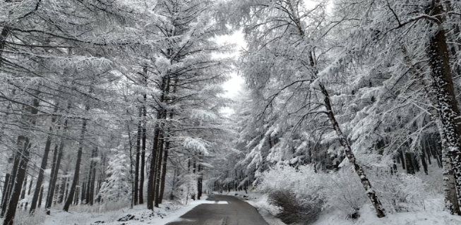 断崖式降温!大氛围降雪，今冬最强寒潮来了
