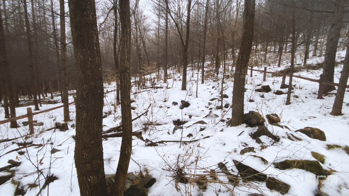 理响中国·烽火丹心丨少年铁血铸忠魂