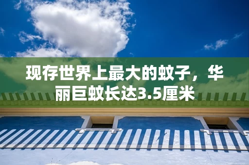 现存世界上最大的蚊子，华丽巨蚊长达3.5厘米