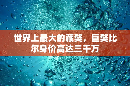 世界上最大的藏獒，巨獒比尔身价高达三千万