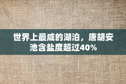 世界上最咸的湖泊，唐胡安池含盐度超过40%