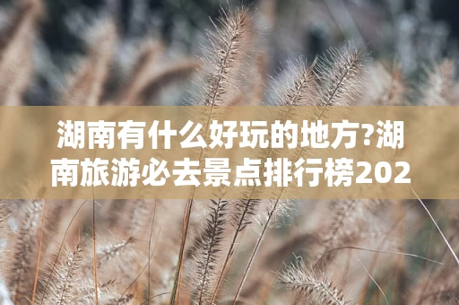 湖南有什么好玩的地方?湖南旅游必去景点排行榜2023最新排名前十名对比