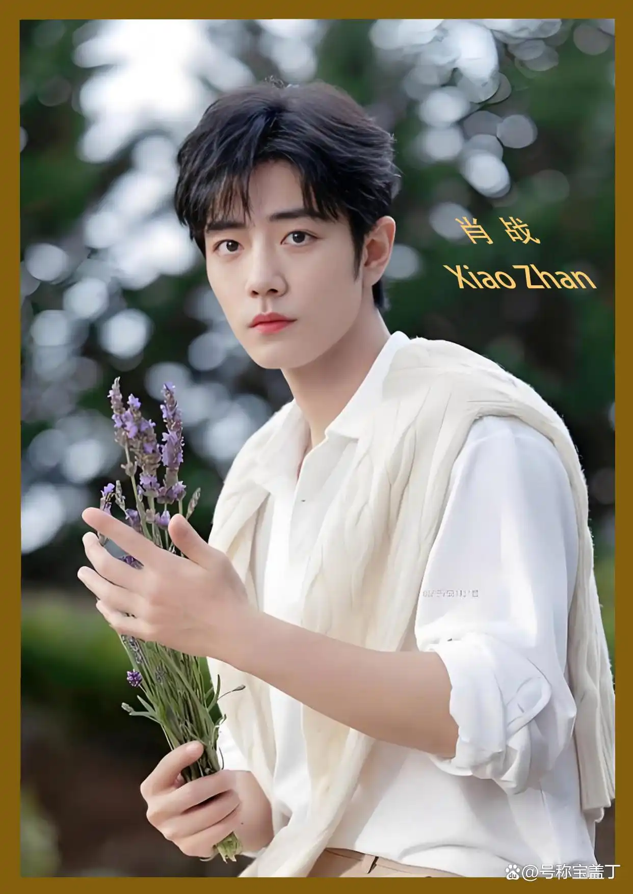 中国影视界2024至2025公认的十大帅男榜