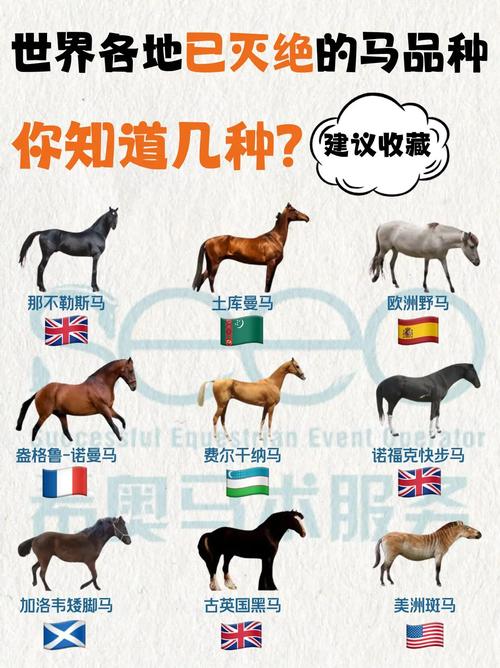 马的十大品种2025年排行榜前十名榜单出炉