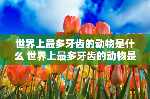 世界上最多牙齿的动物是什么 世界上最多牙齿的动物是啥