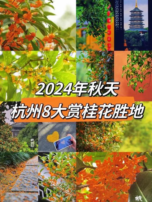 杭州十大赏花胜地2025年排行榜前十名榜单出炉