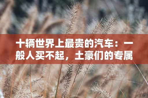 十辆世界上最贵的汽车：一般人买不起，土豪们的专属