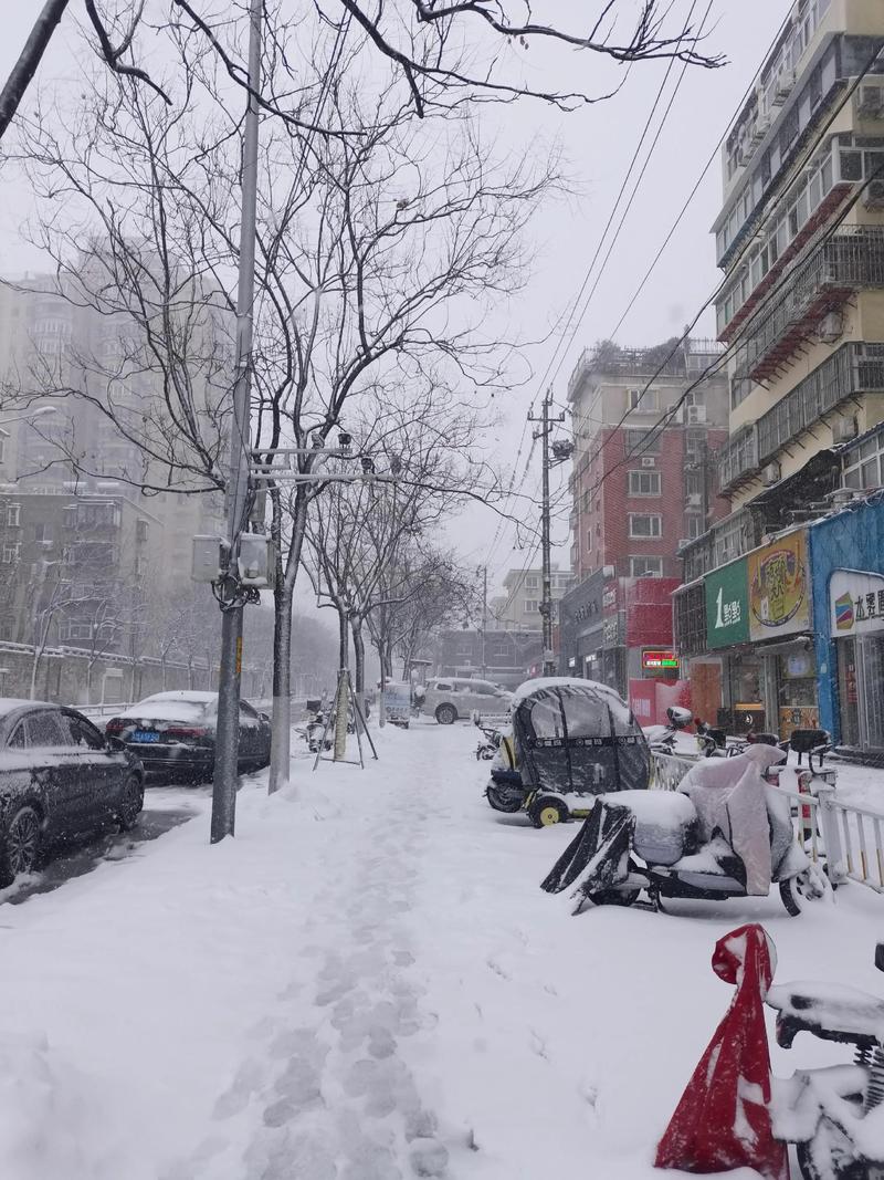 济南十大最适合看雪的地方2025年排行榜前十名榜单出炉