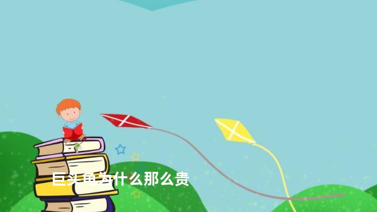 巨头龟为什么那么贵