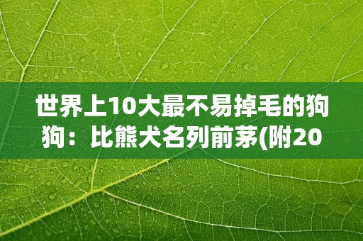 世界上10大最不易掉毛的狗狗：比熊犬名列前茅(附2024排名前十完整榜单)