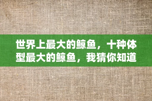 世界上最大的鲸鱼，十种体型最大的鲸鱼，我猜你知道蓝鲸(附2024年最新排行榜前十名单)