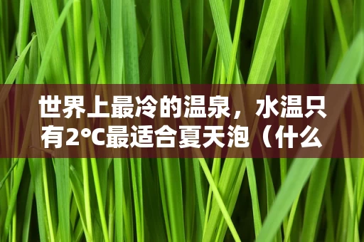 世界上最冷的温泉，水温只有2℃最适合夏天泡（什么温度适合泡温泉）