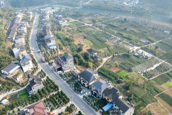 数览中国脉动|“村潮”奔涌!“村字号”助力乡村更美好