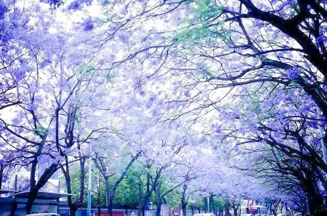 探索中国十大海滨城市的迷人魅力