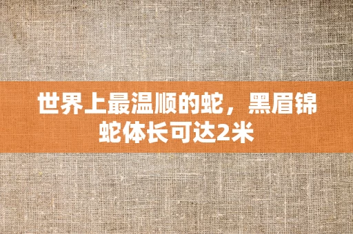 世界上最温顺的蛇，黑眉锦蛇体长可达2米