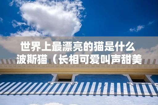 世界上最漂亮的猫是什么 波斯猫（长相可爱叫声甜美）
