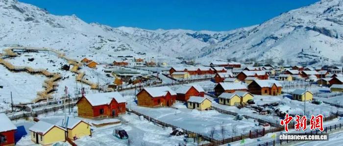 新疆阿勒泰“豹出没” 网民羡慕生态环境心疼“豹豹”