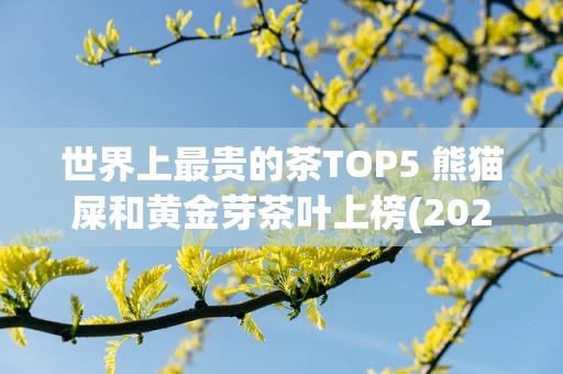世界上最贵的茶TOP5 熊猫屎和黄金芽茶叶上榜(2024年最新排名前十榜单)