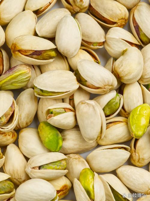锌含量高的10种坚果2025年排行榜前十名榜单出炉