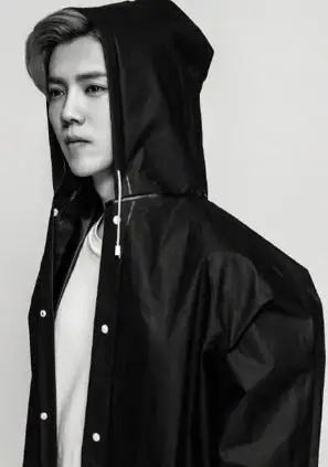 网曝鹿晗身价近三亿,持股十一家公司,却由关晓彤掌握财政大权?