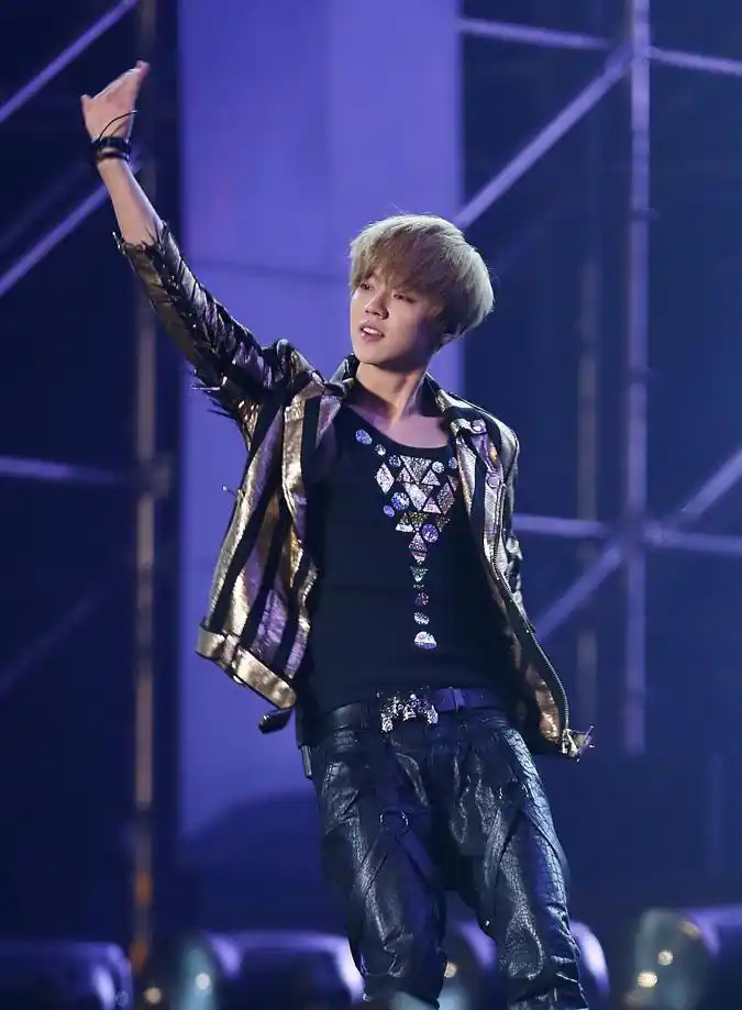 网曝鹿晗身价近三亿,持股十一家公司,却由关晓彤掌握财政大权?