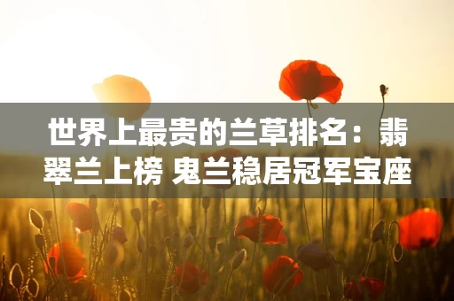 世界上最贵的兰草排名：翡翠兰上榜 鬼兰稳居冠军宝座(附2024排名前十完整榜单)
