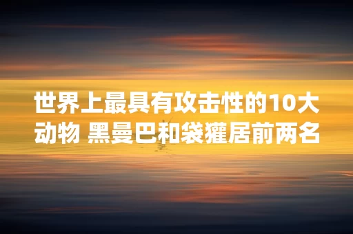 世界上最具有攻击性的10大动物 黑曼巴和袋獾居前两名(附2024排名前十完整榜单)