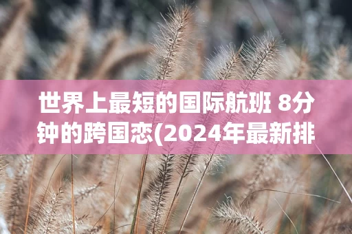 世界上最短的国际航班 8分钟的跨国恋(2024年最新排名前十榜单)