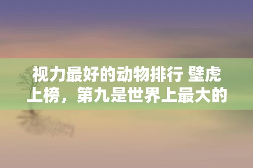视力最好的动物排行 壁虎上榜，第九是世界上最大的无脊椎动物