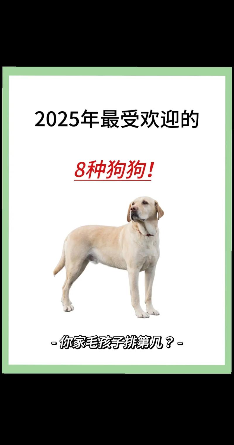 世界十大最高动物2025年排行榜前十名榜单出炉