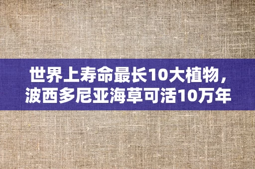 世界上寿命最长10大植物，波西多尼亚海草可活10万年！