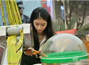 2025各大学校花校草排行榜