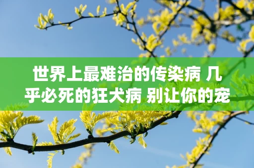 世界上最难治的传染病 几乎必死的狂犬病 别让你的宠物成为杀人凶手(2024年最新排名前十榜单)