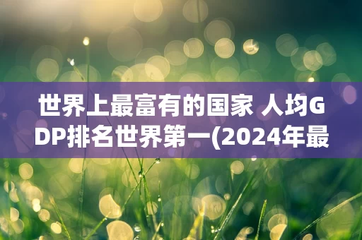 世界上最富有的国家 人均GDP排名世界第一(2024年最新排名前十榜单)