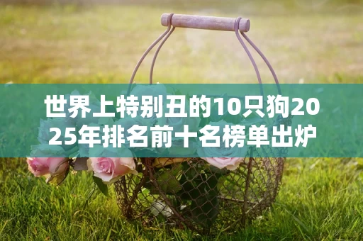 世界上特别丑的10只狗2025年排名前十名榜单出炉