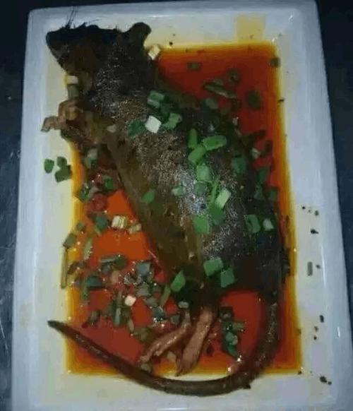 世界上特别变态的食物2025年排名前十名榜单出炉