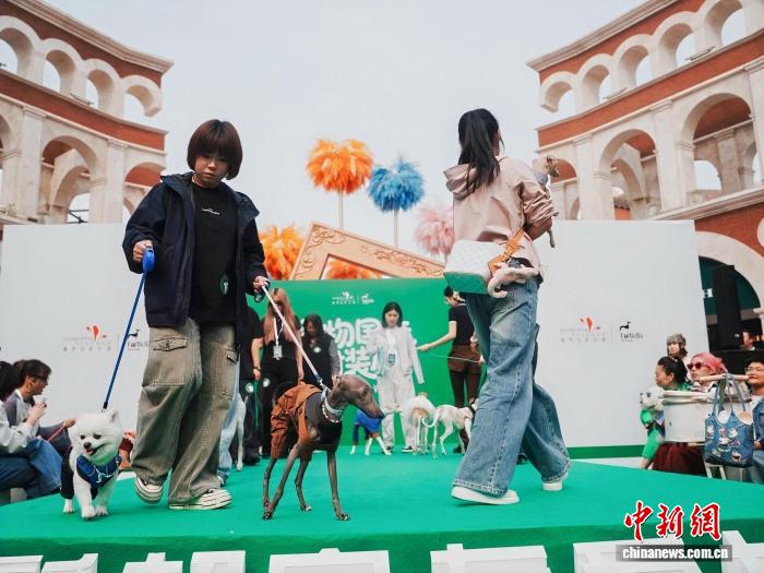 中国民间趣味赛事渐成城市表达新潮流