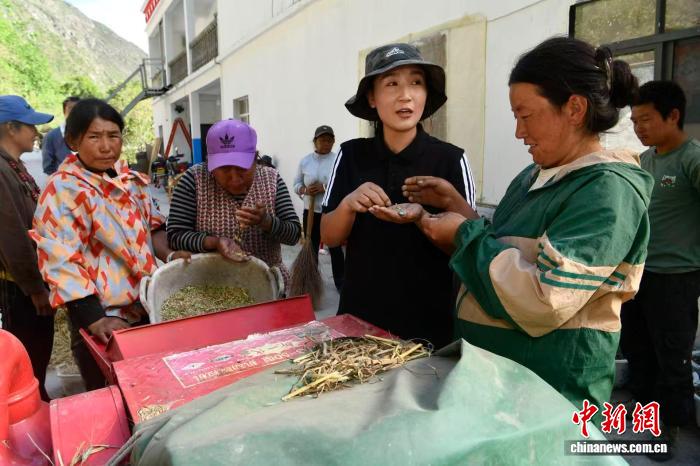 （滇藏公路50年）德吉卓玛书记的第一个“五年规划”