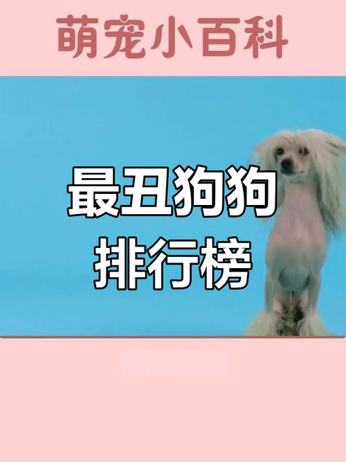 世界十大最丑的犬种2025年排行榜前十名榜单出炉