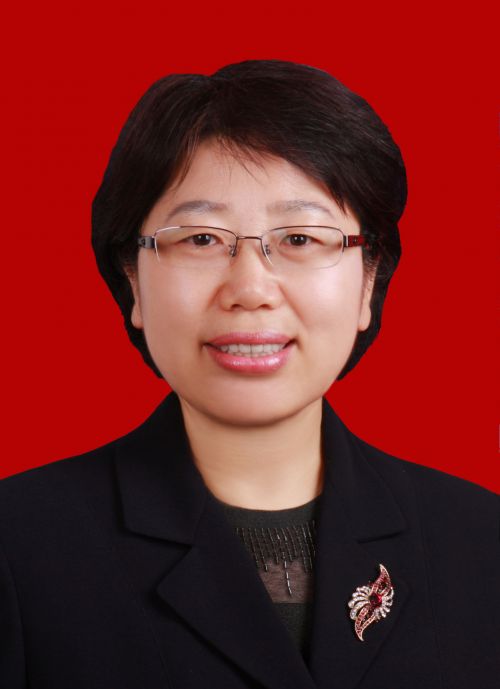 陈俊任陕西商洛市委书记 郑光照任商洛市委副书记