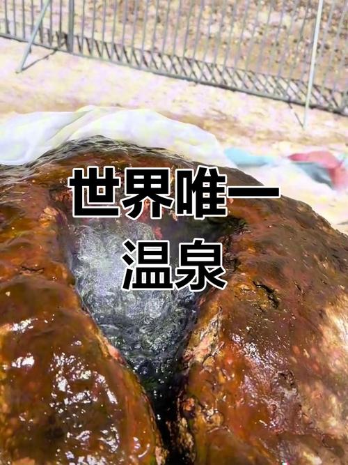 西藏十大温泉2025年排行榜前十名榜单出炉