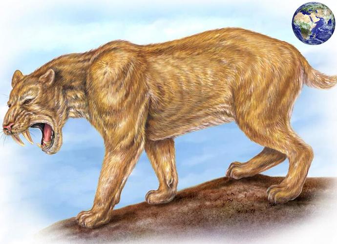 2024年世界上十大食肉猛兽 最厉害的食肉猛兽排行榜 有些你想不到