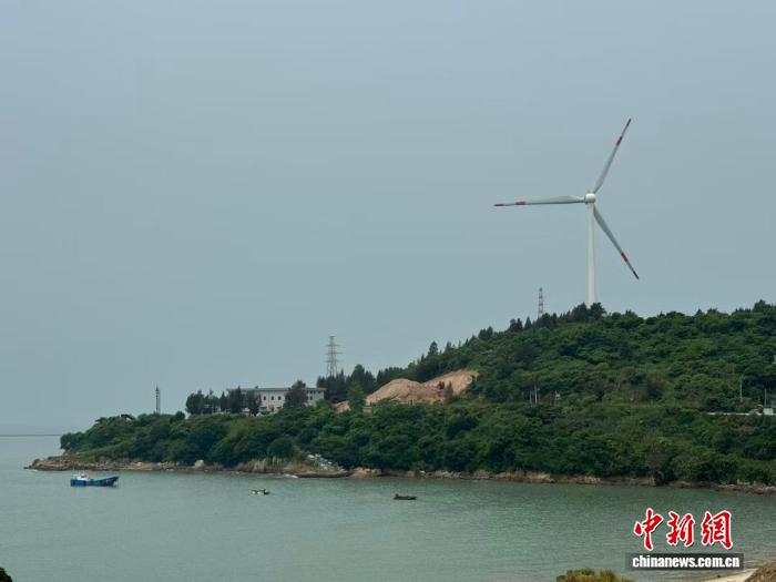 浙江大陈岛，生态护海“养”出共富海岛