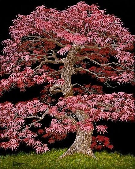 世界十大特别美的树2025年排名前十名榜单出炉