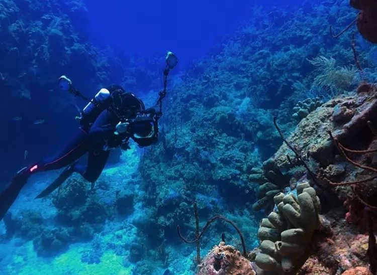 世界上最大的水下洞穴，真是潜水者的天堂（世界上潜水最深的）